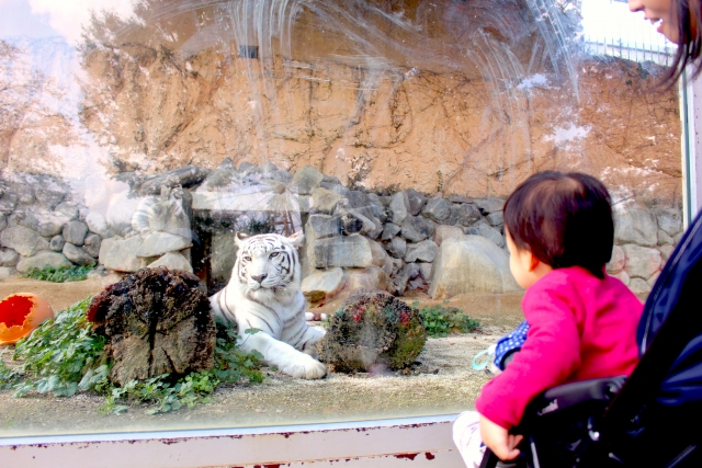 東武動物公園